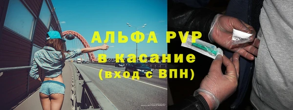 амф Медногорск