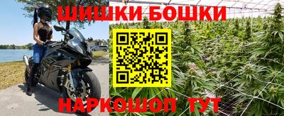 прущие крисы Аргун