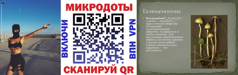 закладки Апрелевка Псилоцибиновые грибы прущие грибы