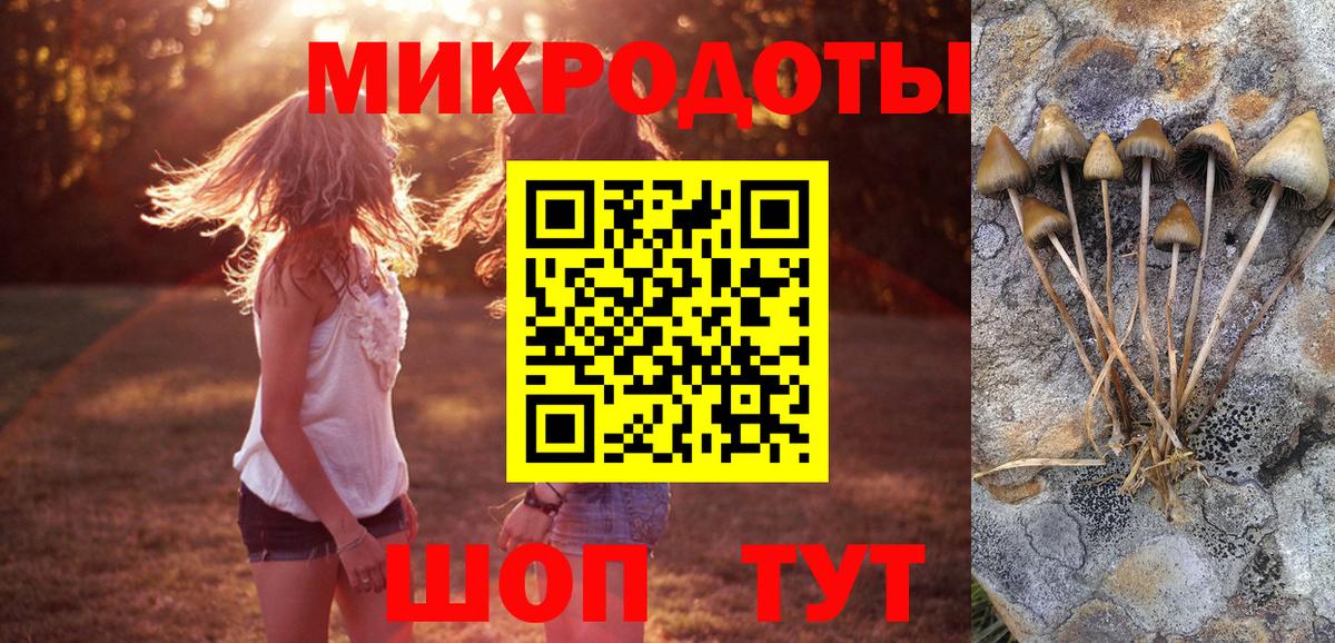 Псилоцибиновые грибы Magic Shrooms Апрелевка