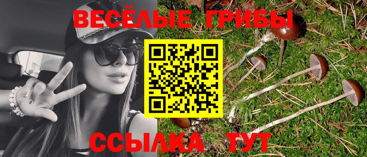 Галлюциногенные грибы Magic Shrooms  Вход с VPN  Апрелевка 
